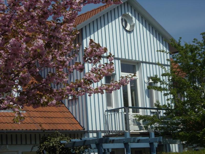 Ferienwohnung Doebbelin Prerow Esterno foto